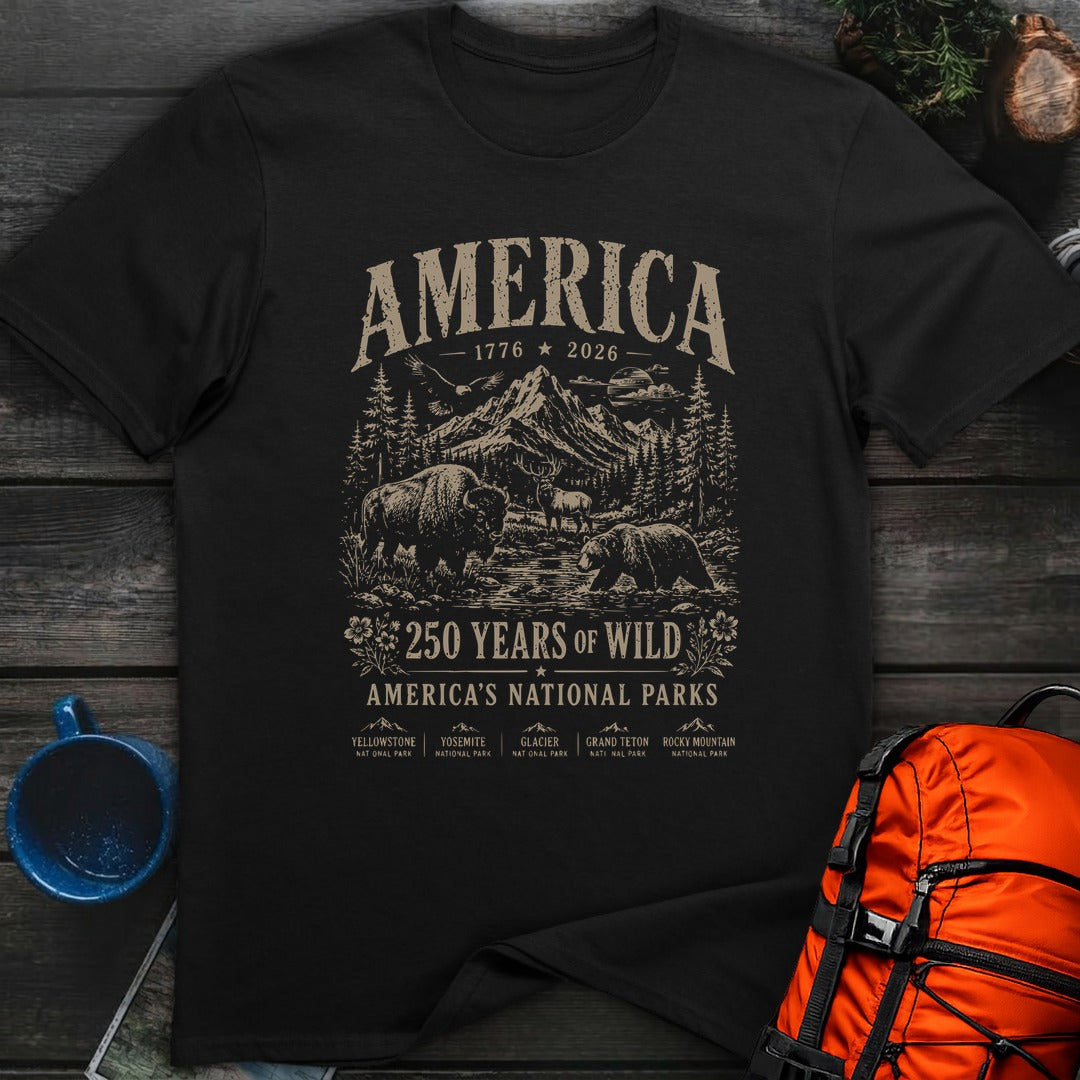 America 250 - Black