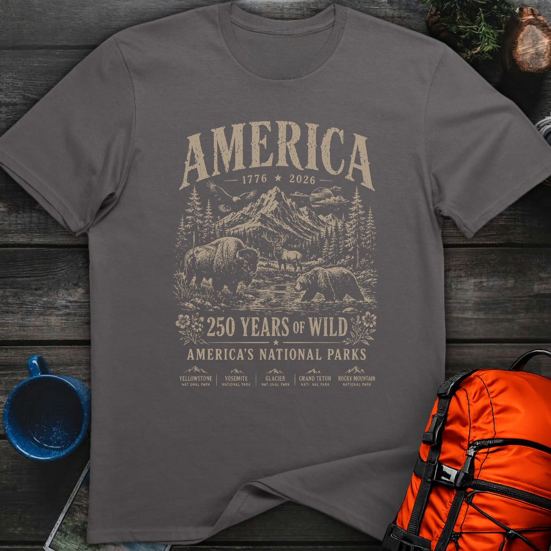 America 250 - Charcoal