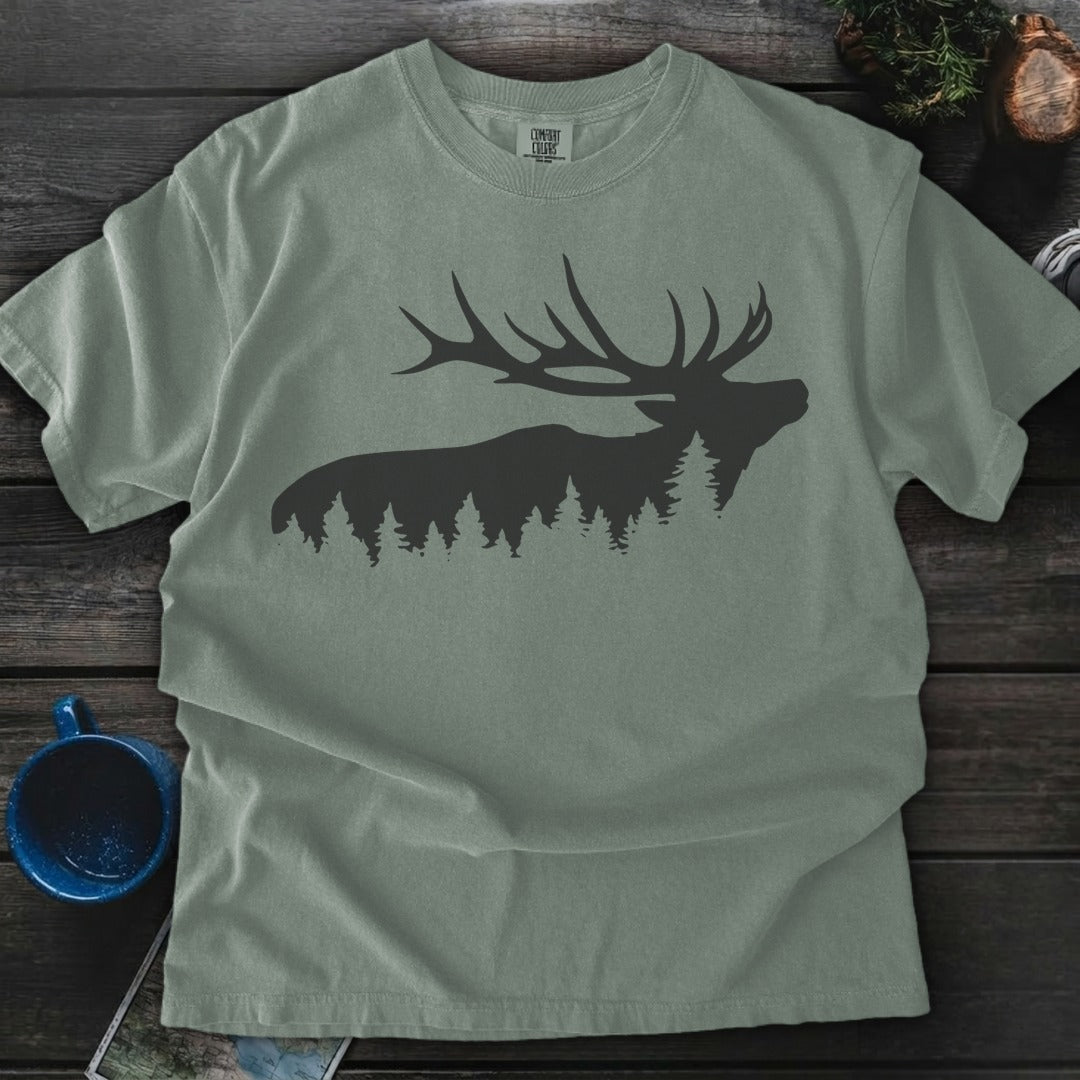 Elk Wilderness - Bay