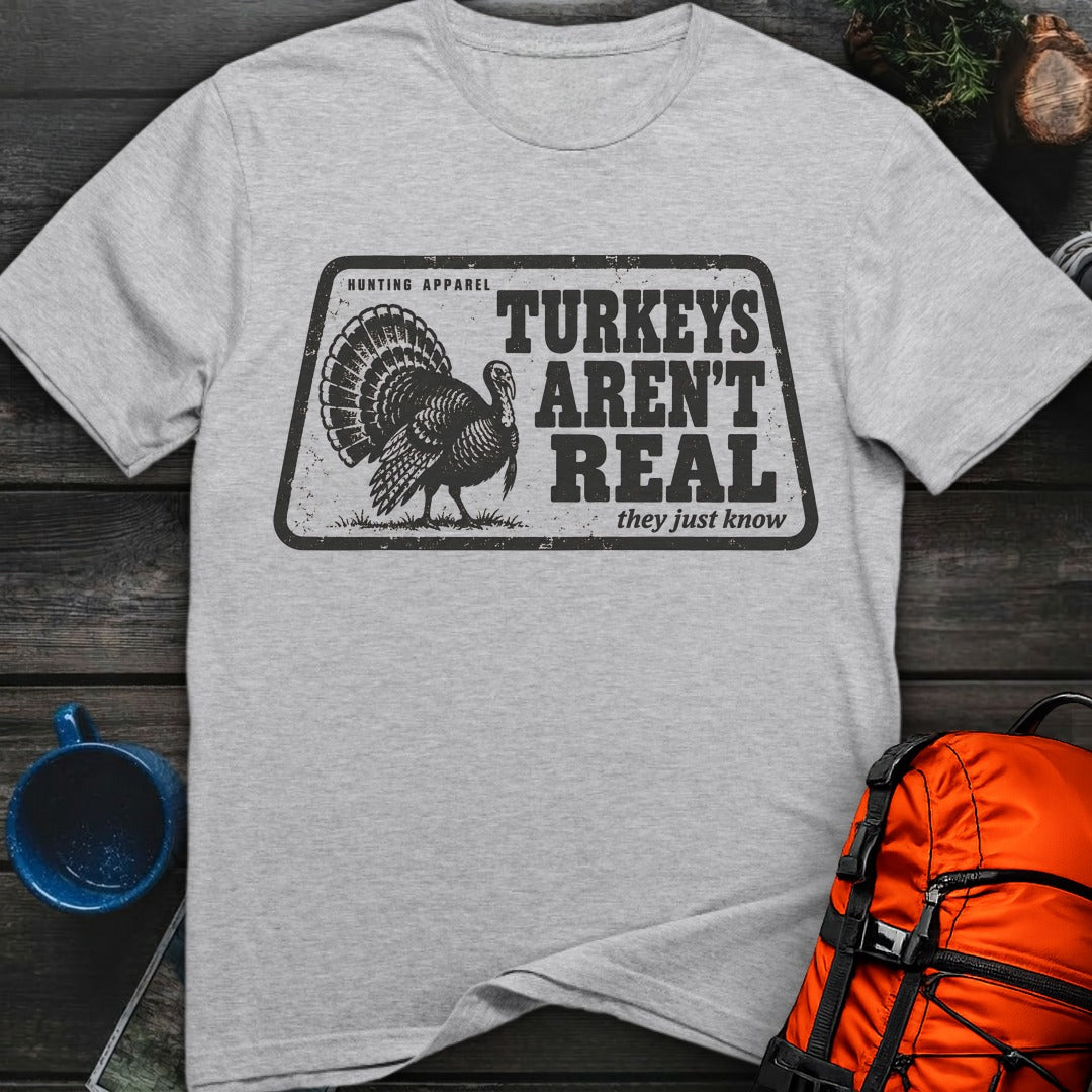 Turkeys Aren't Real - Sport Grey